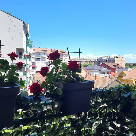 Apartment Regina S Jagodina