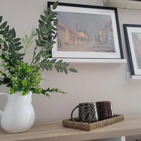 Regina S Apartment Jagodina