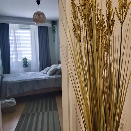 Regina S Apartment *
